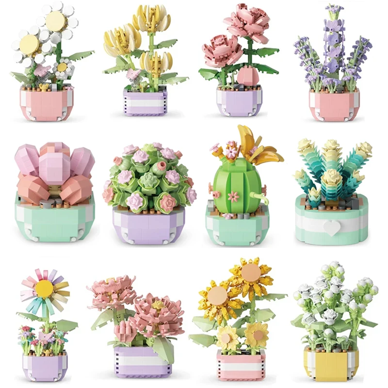 Plant Parent Kit - Flower Succulents Building Blocks Everlasting Flower
