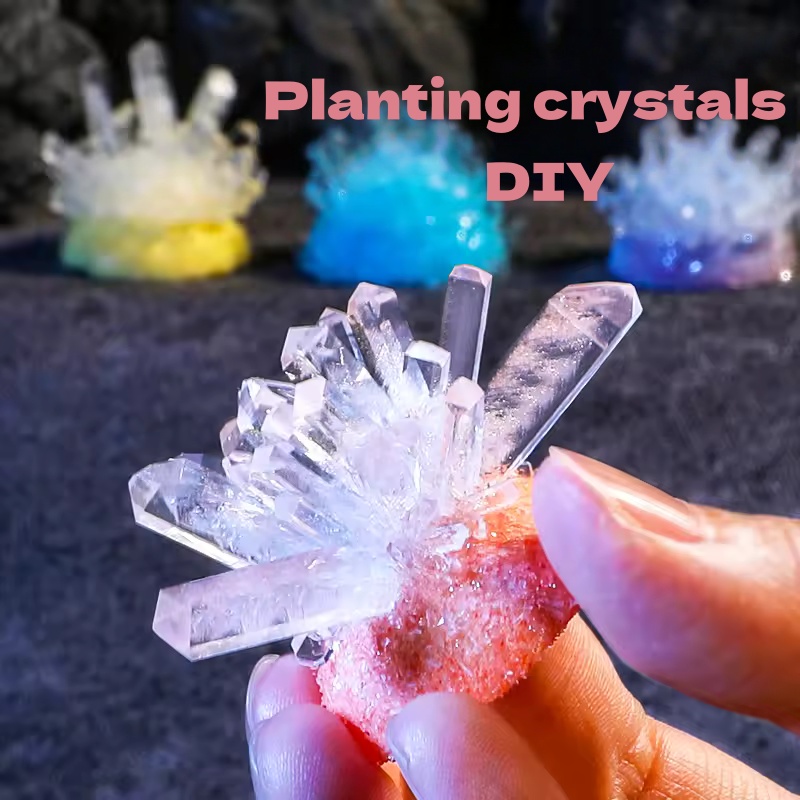 Crystal planting DIY scientifi - Plant Parent Or Plants のレビューと価格