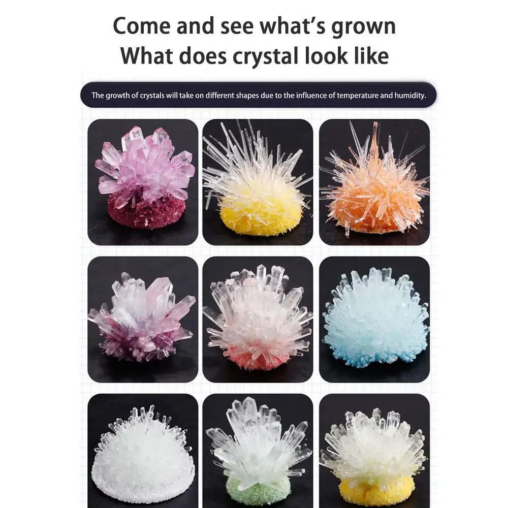 Crystal planting DIY scientifi - Plant Parent Or Plants のレビューと価格