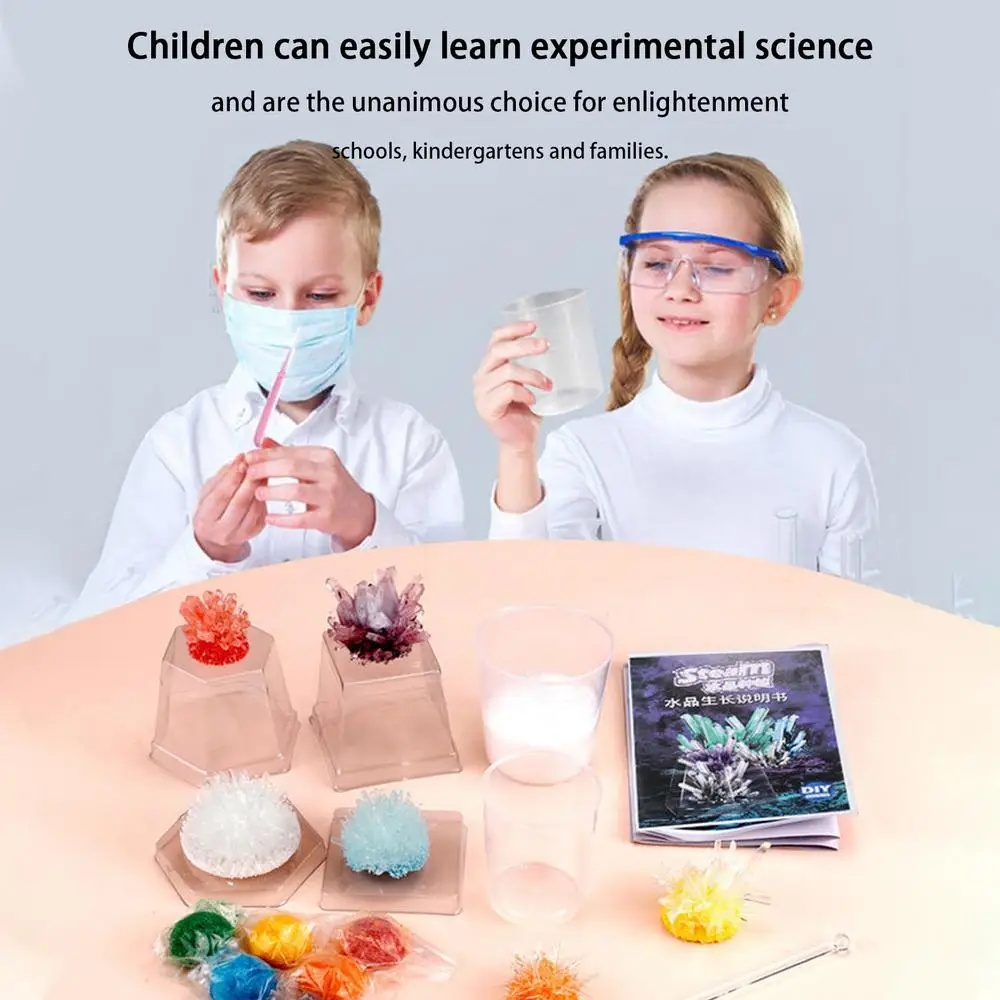 Crystal planting DIY scientifi - Plant Parent Or Plants のレビューと価格