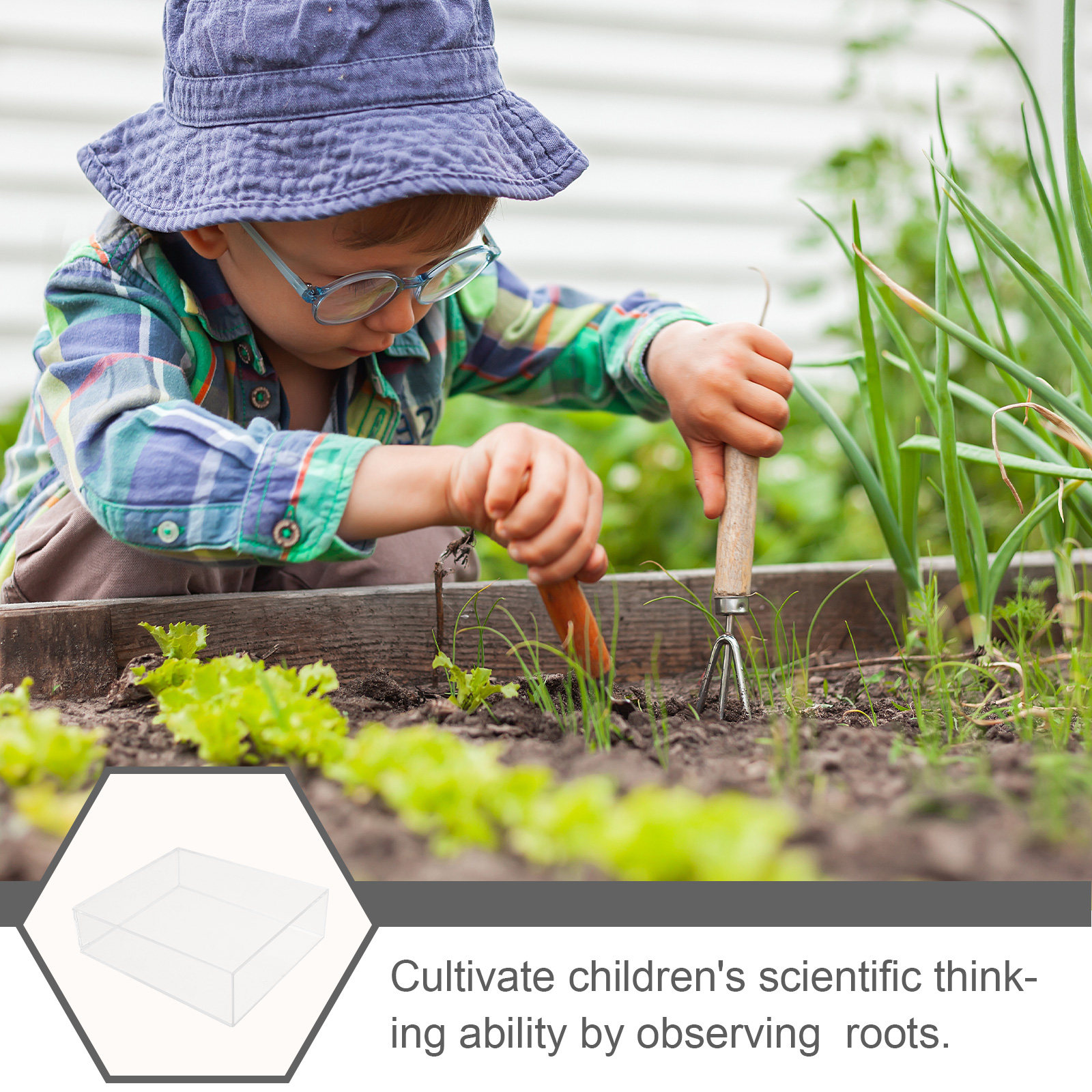 Kids Root Viewer Growing Plant - Parent Of Plant のレビューと価格