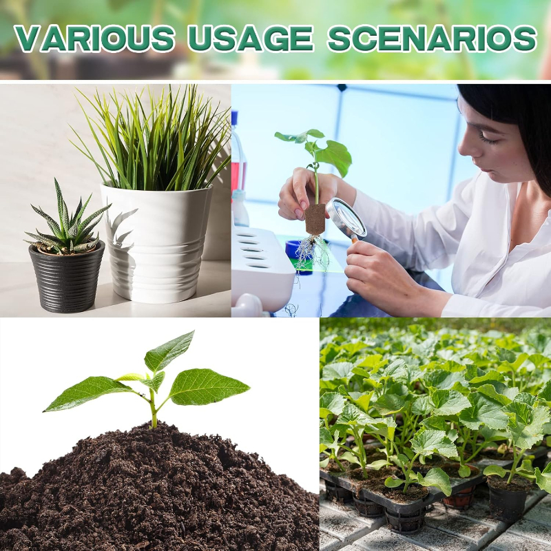 20pc/40pc Hydroponic Sponge Pl - Plant Parent Kit のレビューと価格