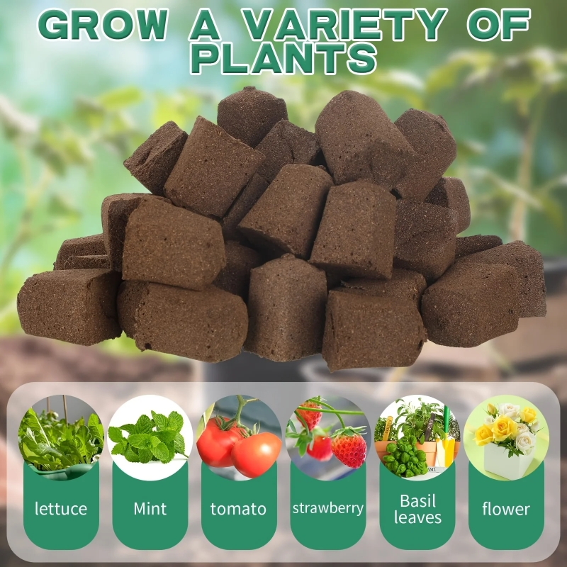 20pc/40pc Hydroponic Sponge Pl - Plant Parent Kit のレビューと価格