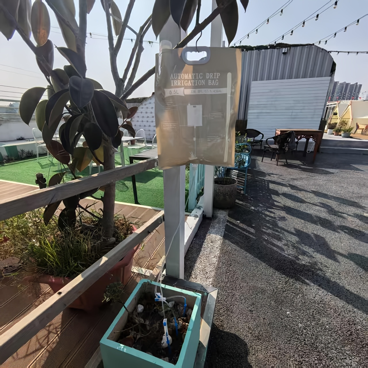 Automatic Watering Dripper,Adj - Plant Parent Kit のレビューと価格