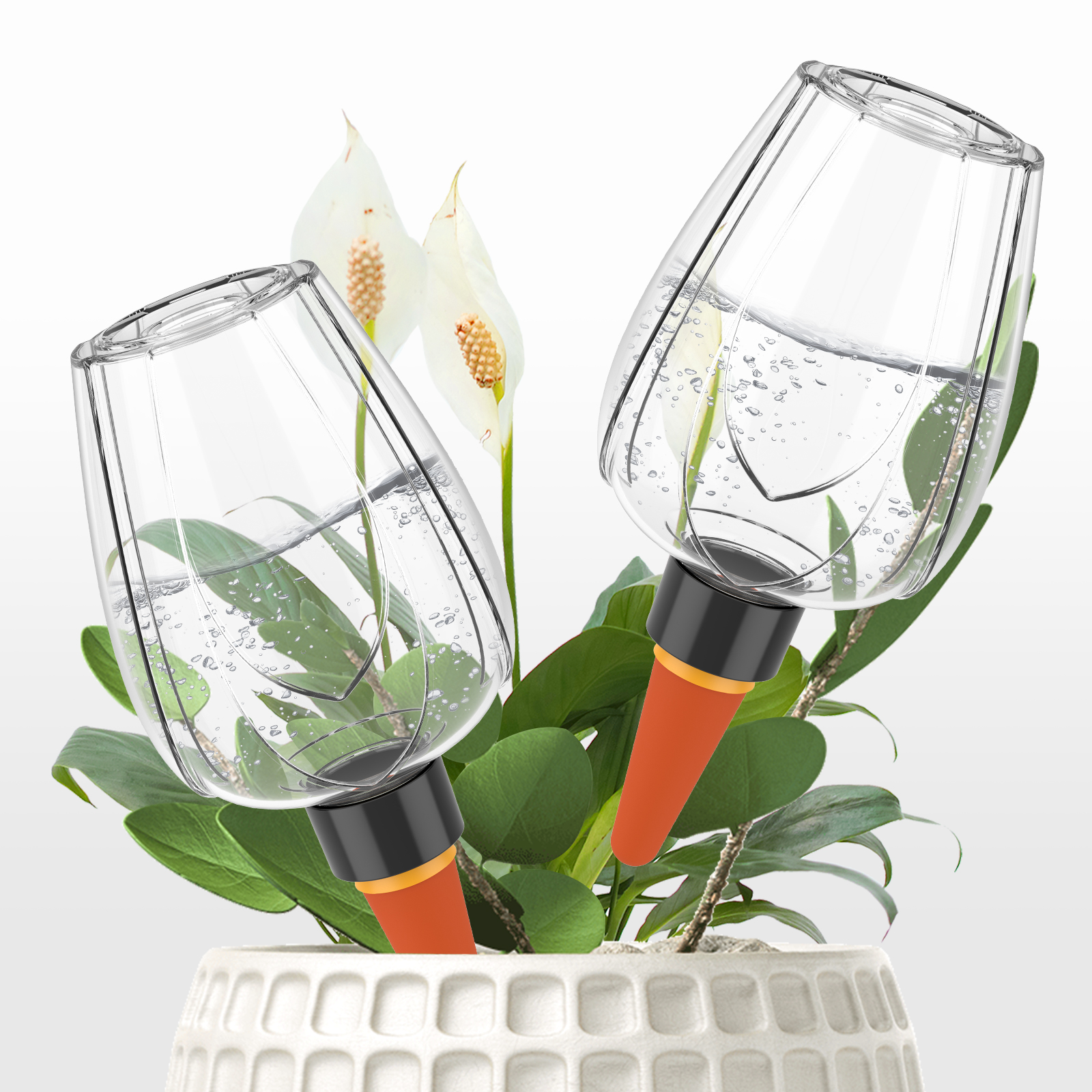 4Pcs Plant Watering Globe Clea - Plant Parent Kit のレビューと価格