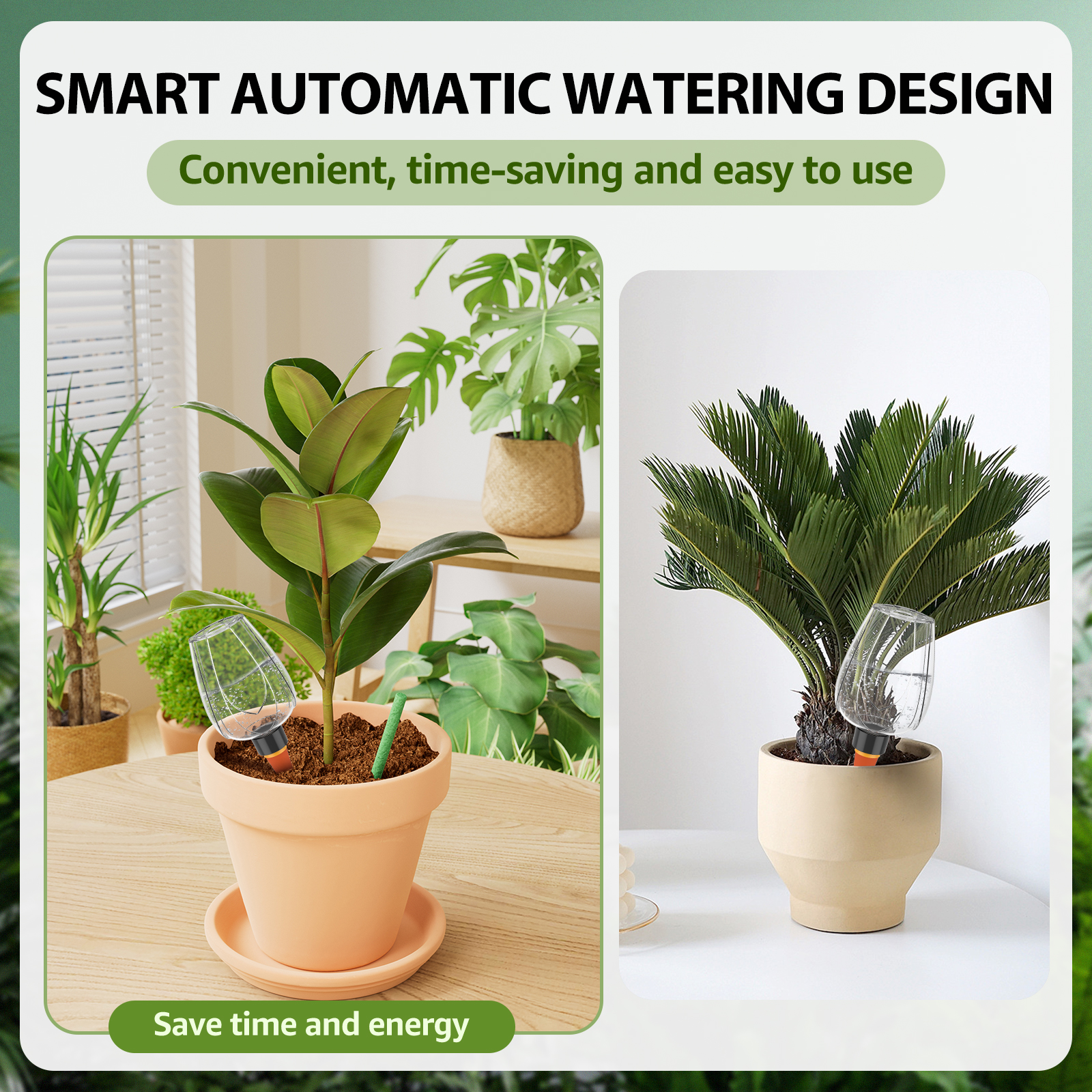4Pcs Plant Watering Globe Clea - Plant Parent Kit のレビューと価格