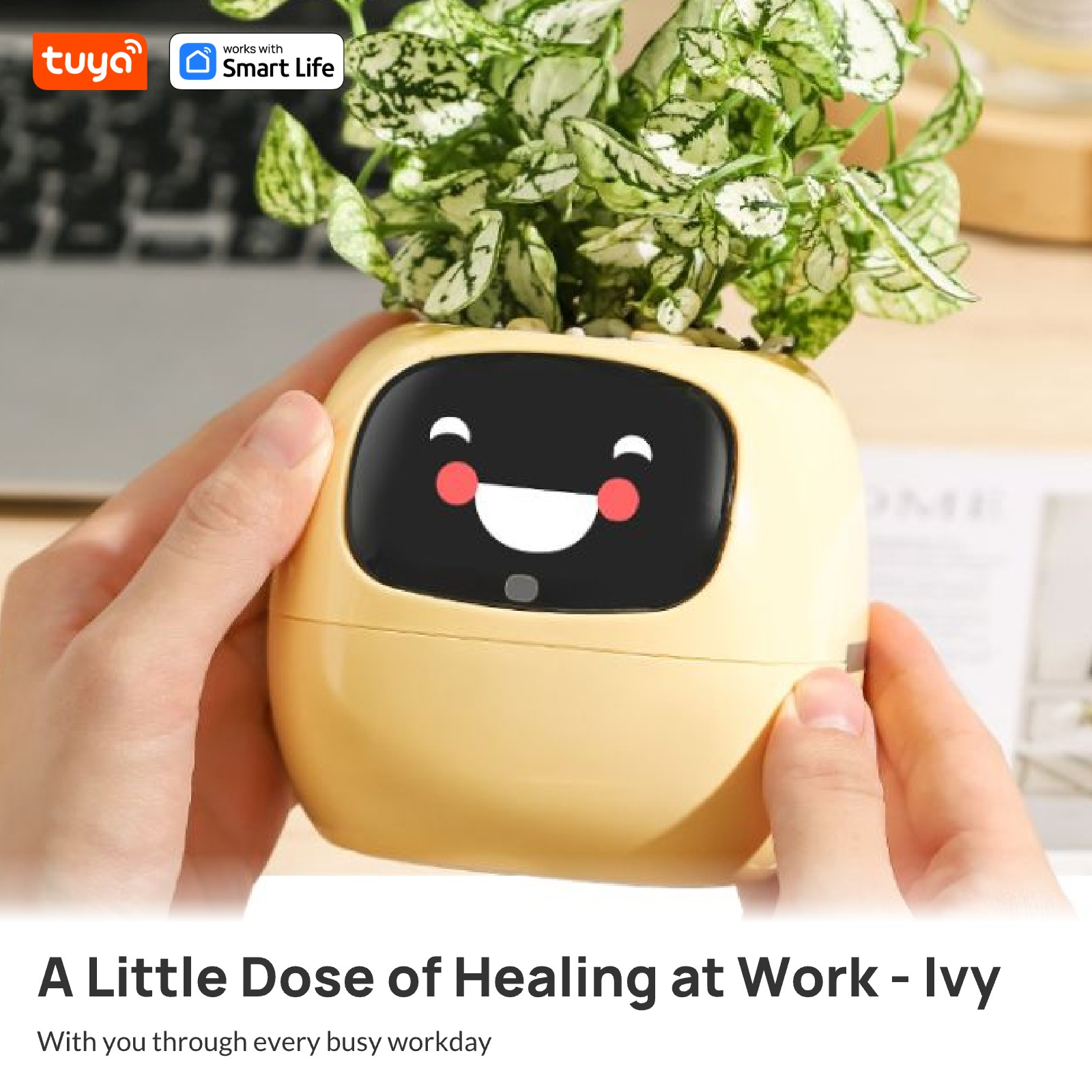 mart Plant Pot AI Planter - Pe - Plant Parent App のレビューと価格