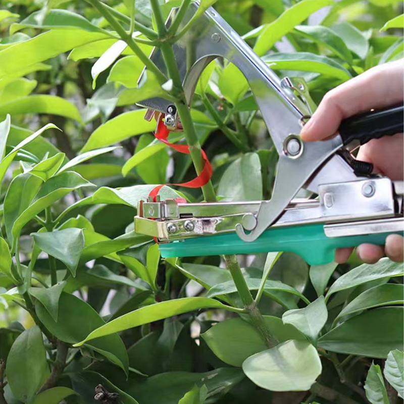 Garden Plants Branch Hand Tyin - Plant Parent Kit のレビューと価格