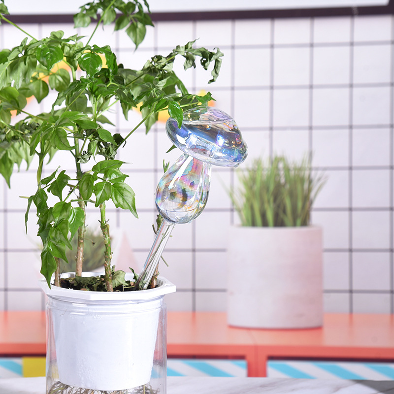 1/2PCS Glass Straw Automatic P - Plant Parent Kit のレビューと価格