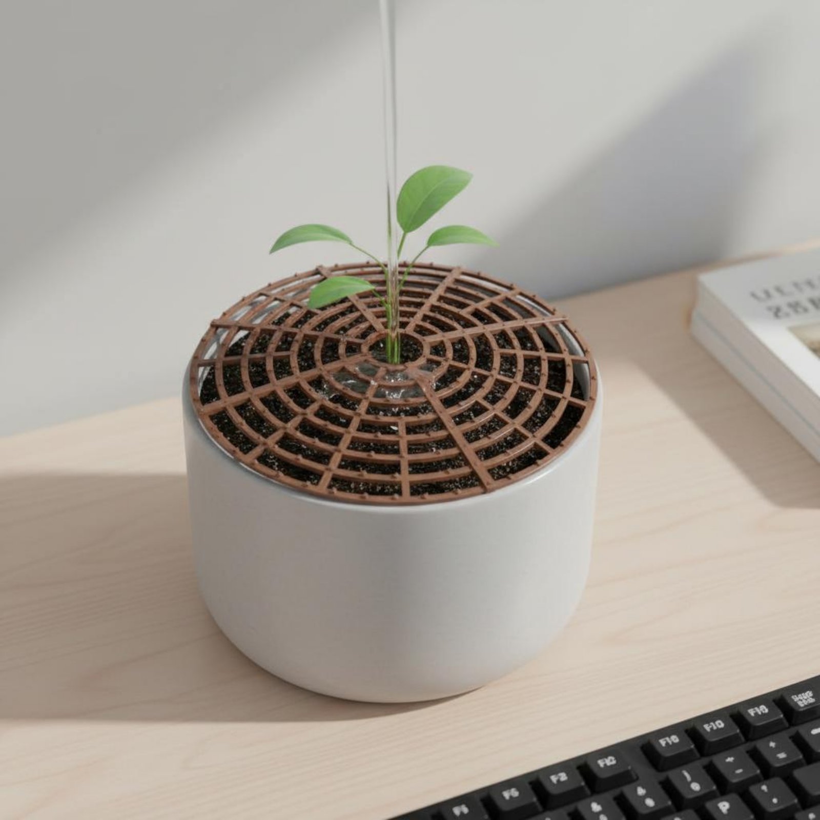 Plant Pot Soil Cover Weather R - Parent Of Plant のレビューと価格