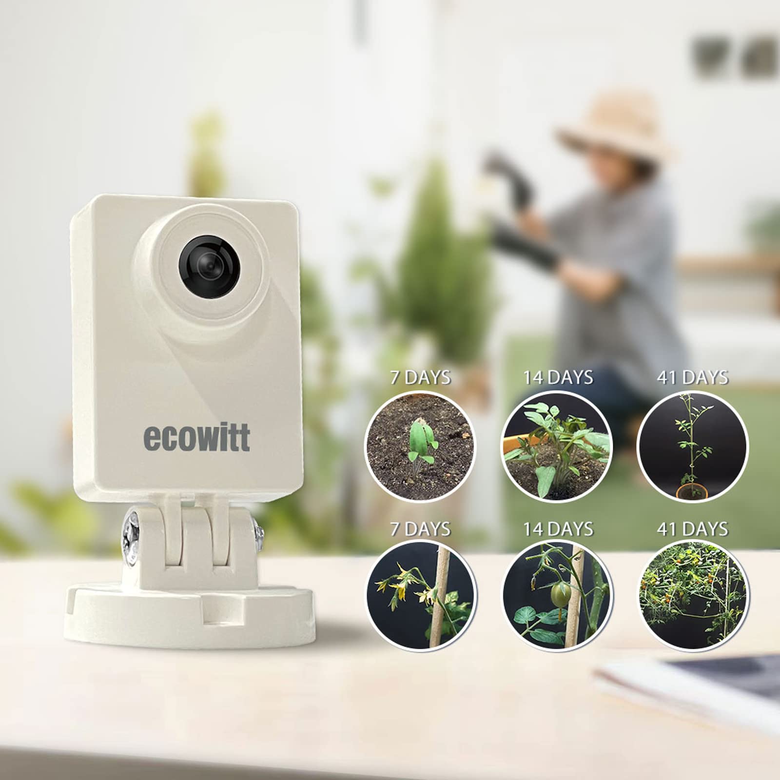 Ecowitt HP10 WittCam Outdoor W - Plant Parent App のレビューと価格