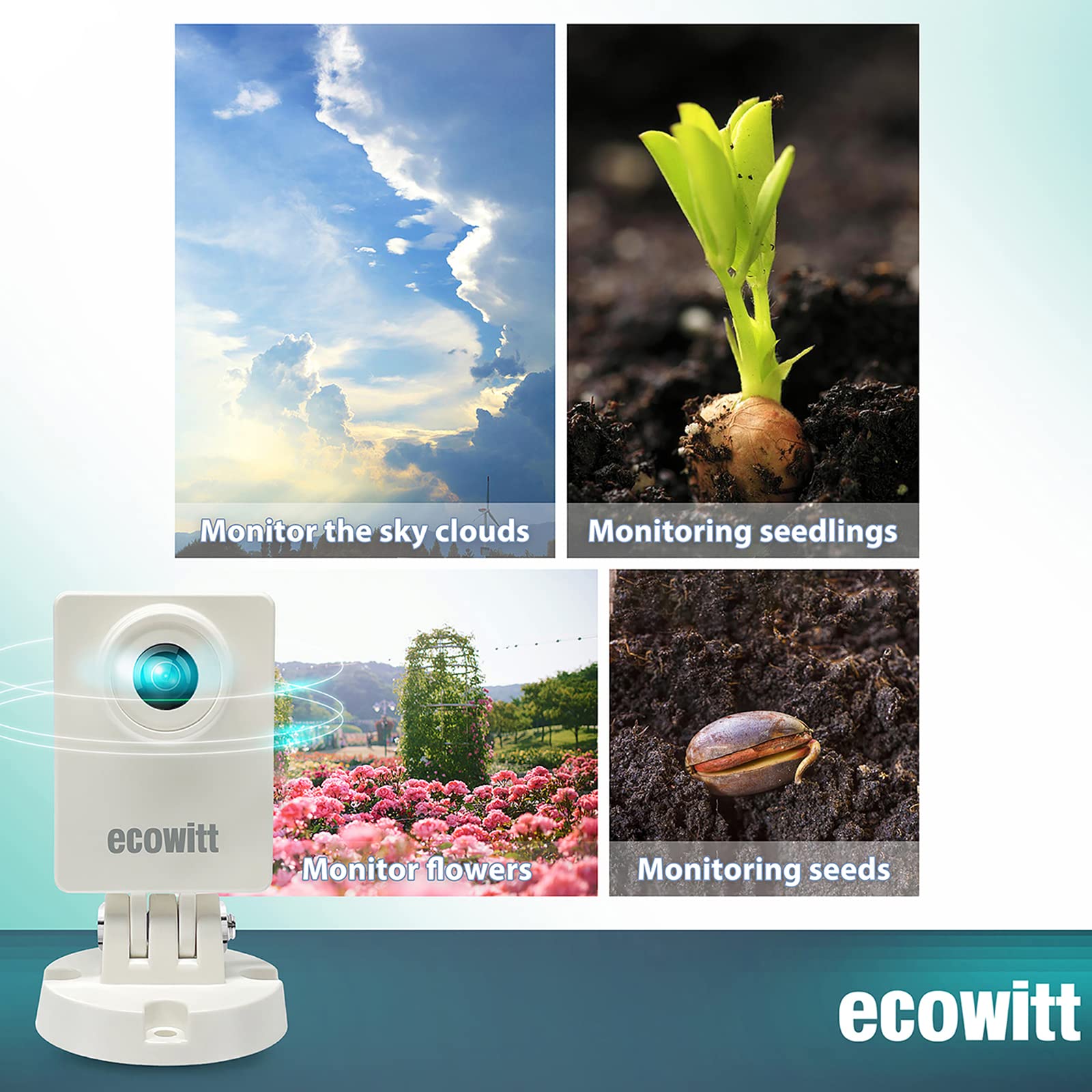 Ecowitt HP10 WittCam Outdoor W - Plant Parent App のレビューと価格