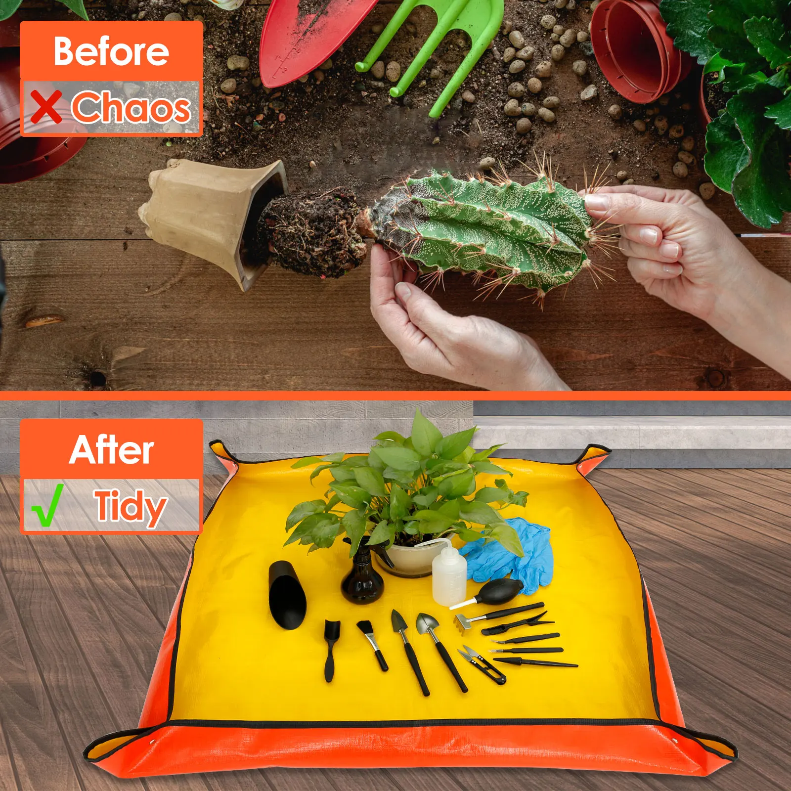 13/16Pcs Garden Succulent Plan - Plant Parent Kit のレビューと価格