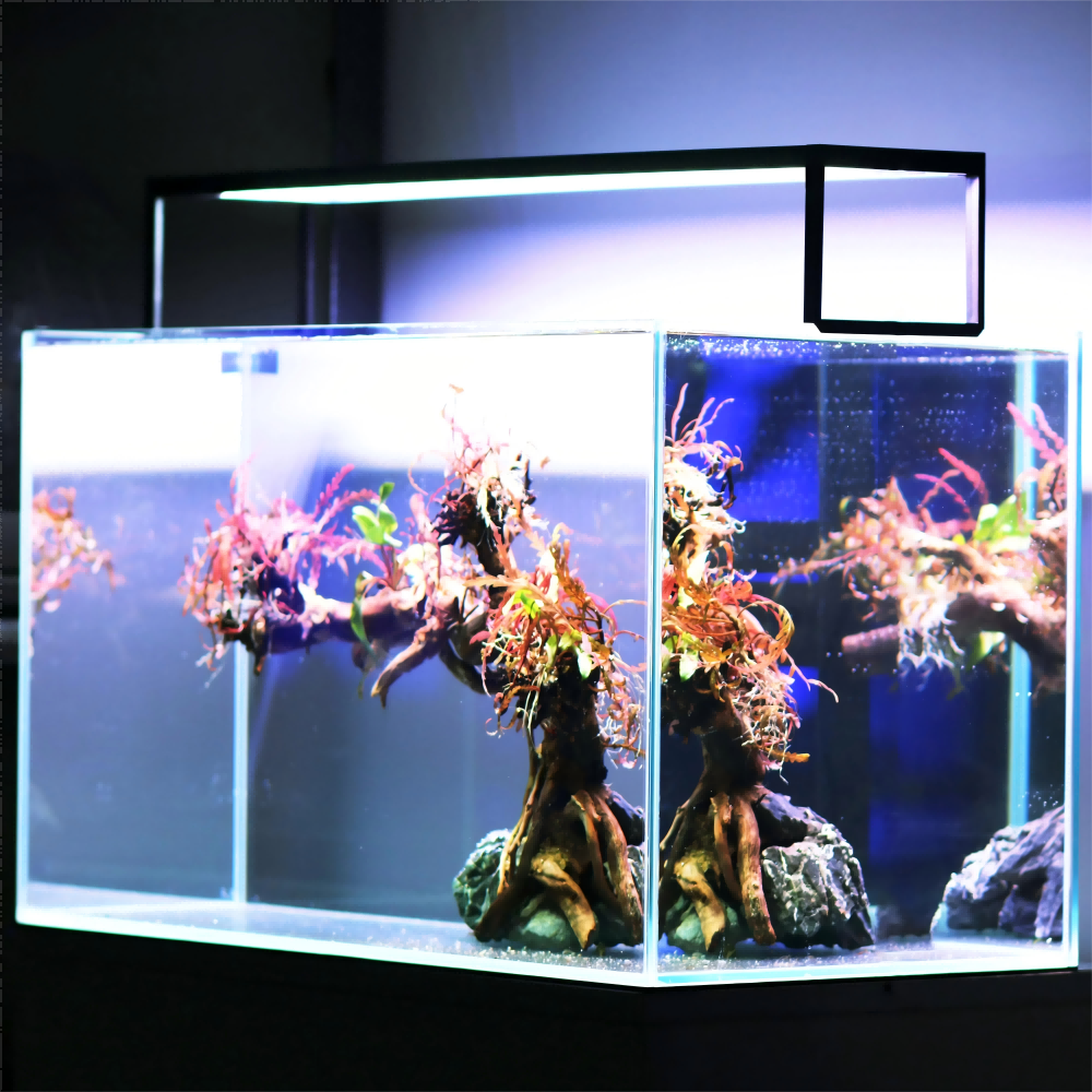 LED Aquarium light MICMOL Extr - Plant Parent App のレビューと価格