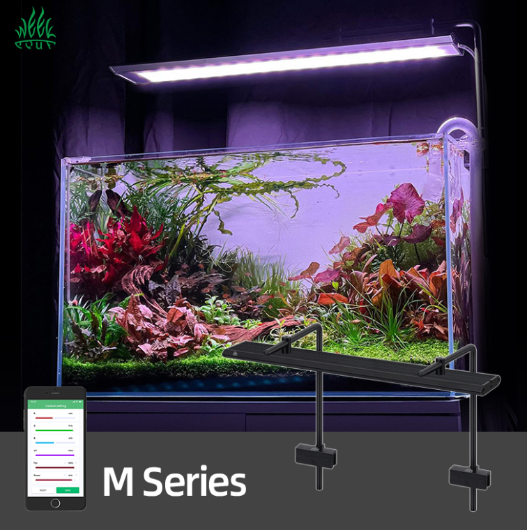 Week Aqua Aquarium Light M Ser - Plant Parent App のレビューと価格