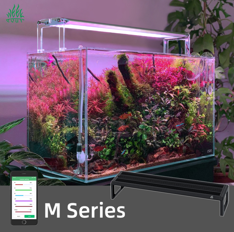 WEEK AQUA M Series 400mm Aquar - Plant Parent App のレビューと価格