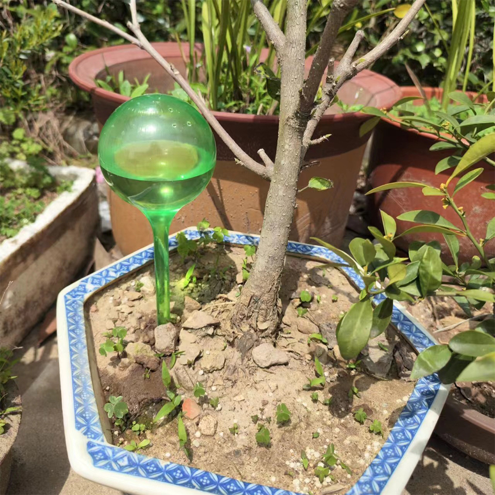 Automatic Plant Watering Bulbs - Plant Parent Kit のレビューと価格