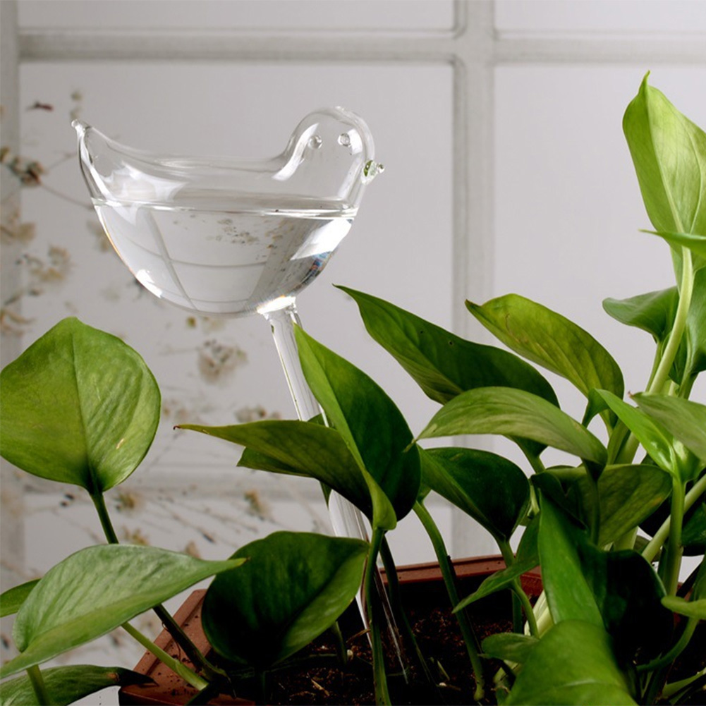 Automatic Plant Watering Bulbs - Plant Parent Kit のレビューと価格