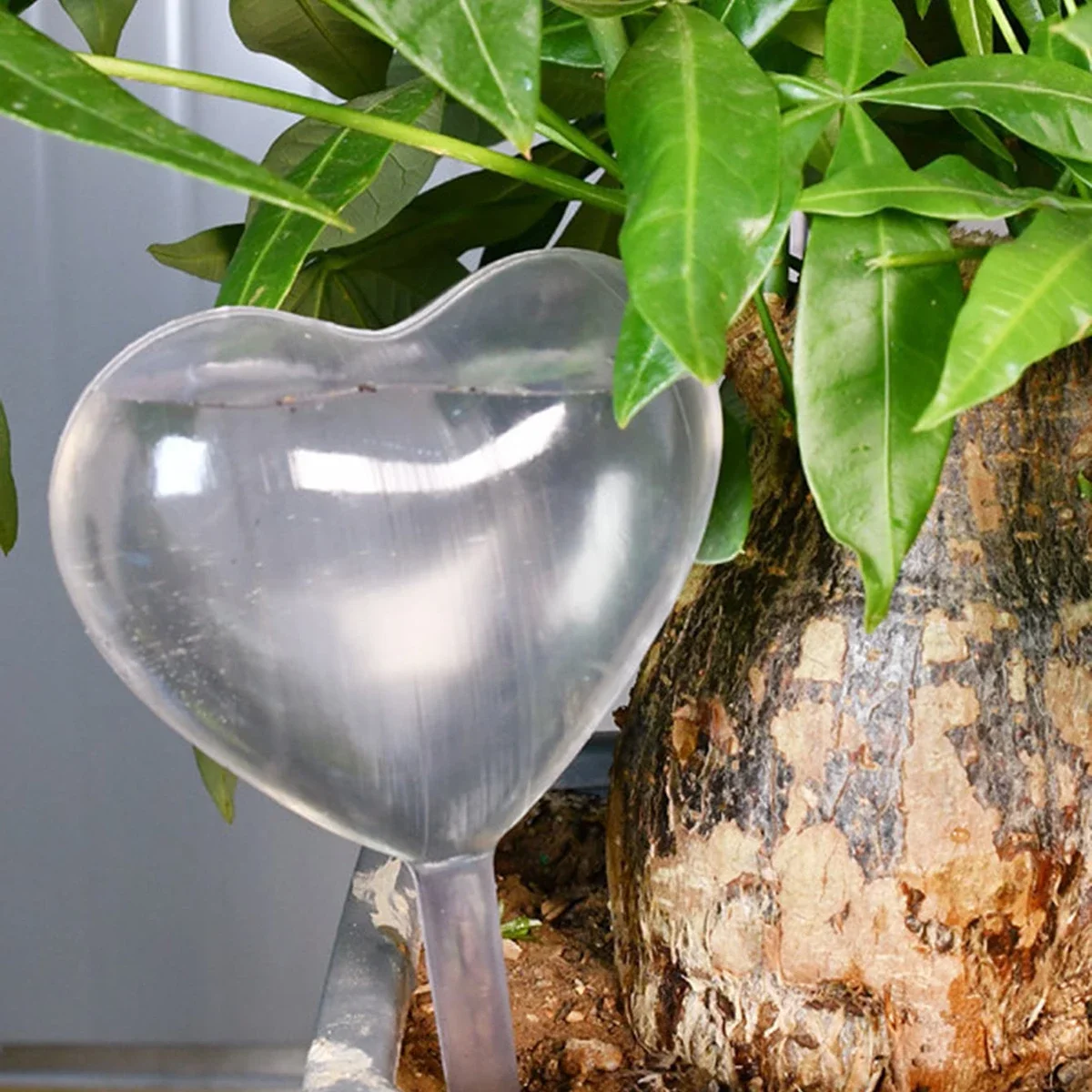 1pc Automatic Plant Watering B - Plant Parent Kit のレビューと価格