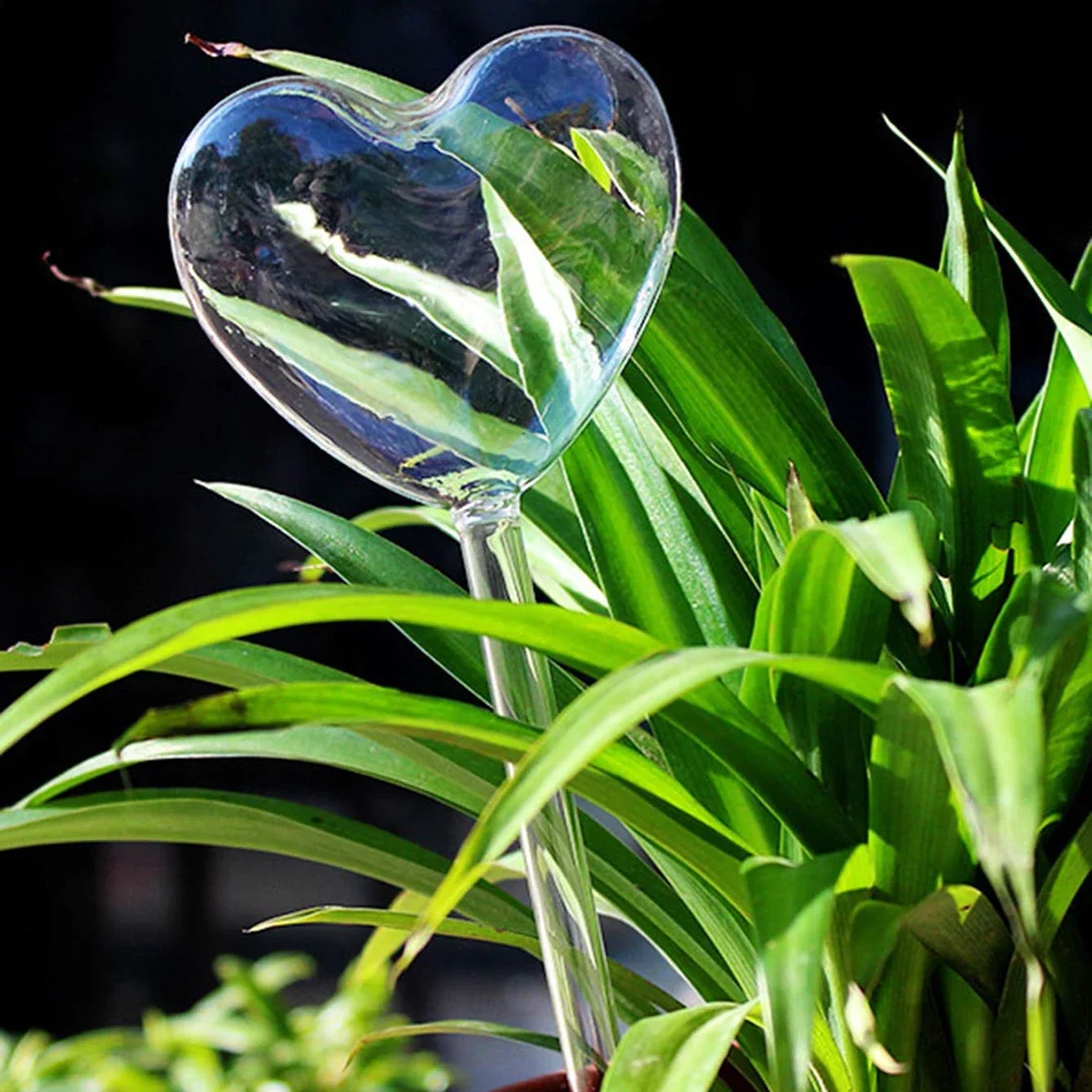 1pc Automatic Plant Watering B - Plant Parent Kit のレビューと価格